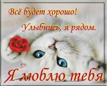 Улыбнись я тебя люблю