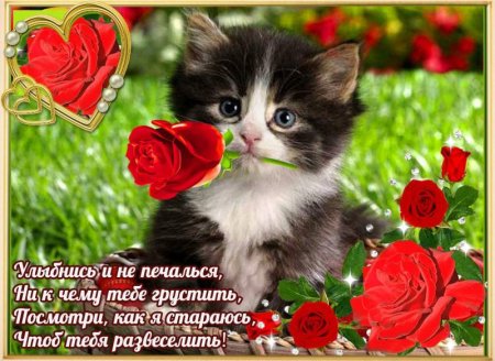 Не печалься открытки