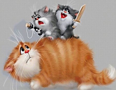 Смешные кошки рисунки