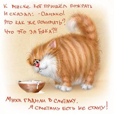 Открытки с котиками прикольные