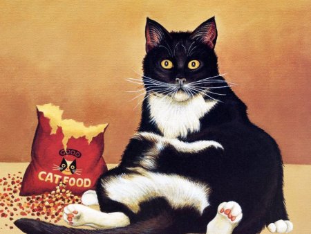 Лоуэлл Эрреро коты