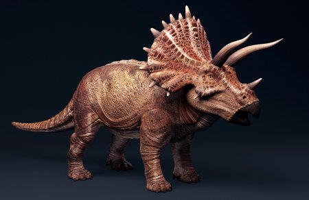 Травоядные динозавры Трицератопс