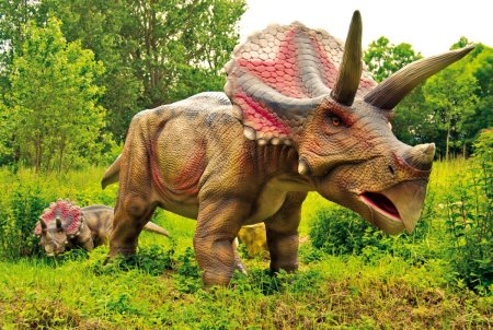 Динопарк-травоядные-динозавры