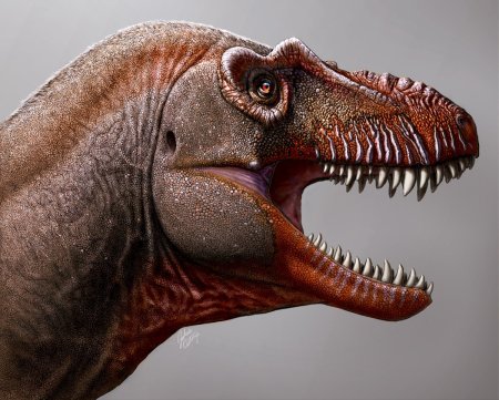 Тираннозавр Эра