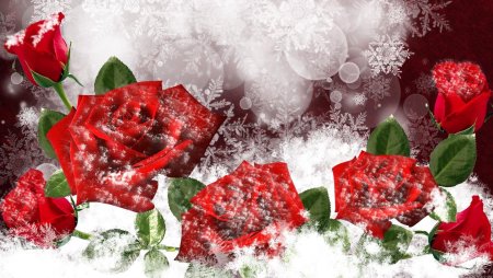 Цветы в снегу