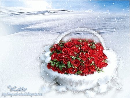 Зимний букет для тебя