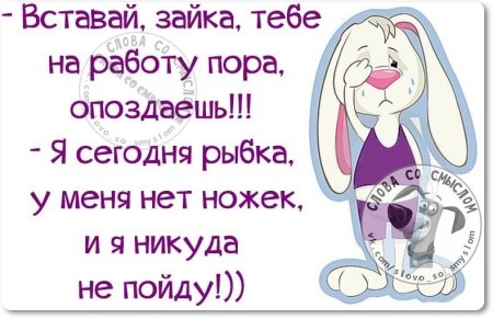 Вставай на работу пора