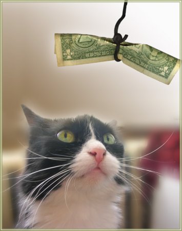 Пора на работу