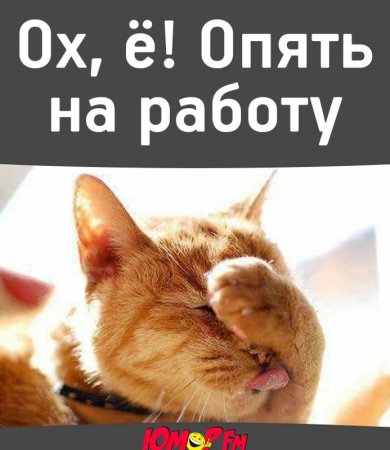 Опять на работу картинки