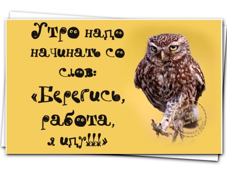 Утром на работу приколы