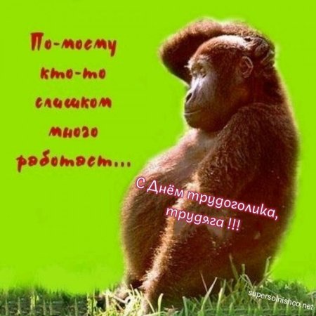 Хватит работать пора отдыхать