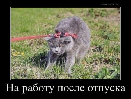 После отпуска наиработу