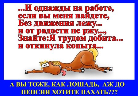 Работаю как лошадь