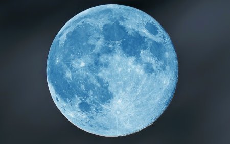 Голубая Луна (Blue Moon) Betta