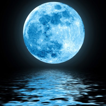 Голубая Луна (Blue Moon) Betta