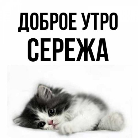 Открытки с добрым утром Сережа