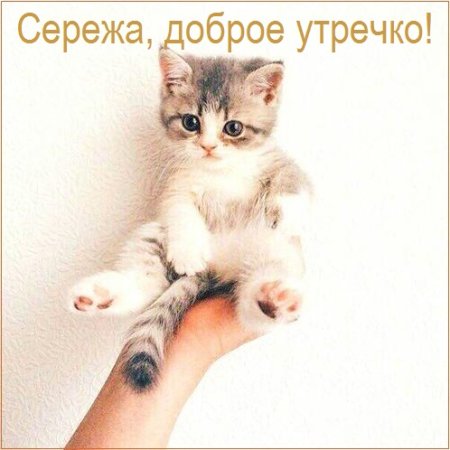 С добрым утром Сереженька
