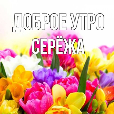Доброе утро серёжа хорошего дня