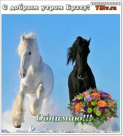 С добрым утром лошадка