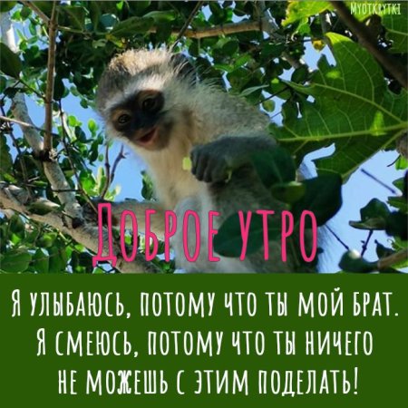 С добрым утром брат