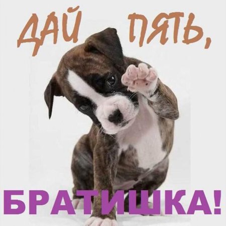 Открытки брату просто так
