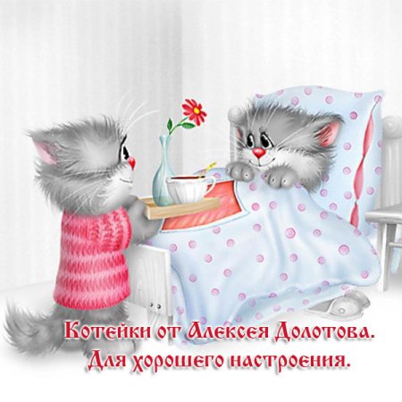 Доброе утро котёнок девушке