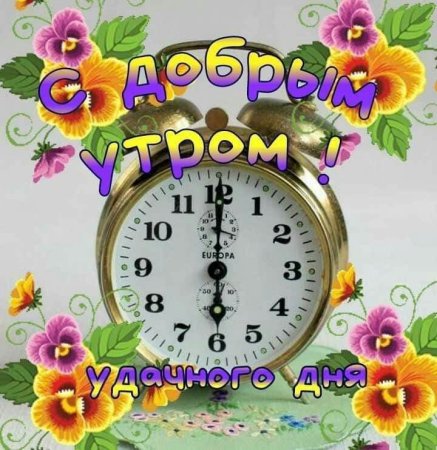 Пожелания с добрым утром группа
