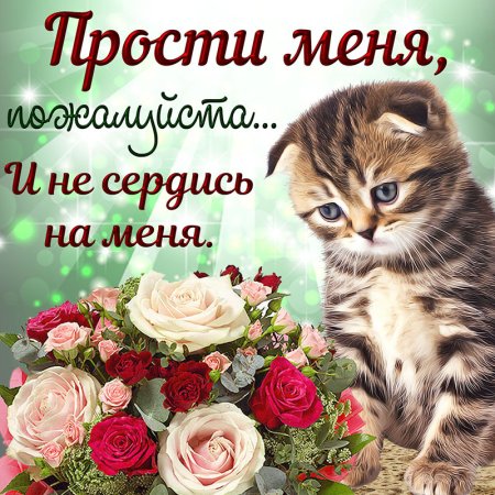 Открытки с извинениями