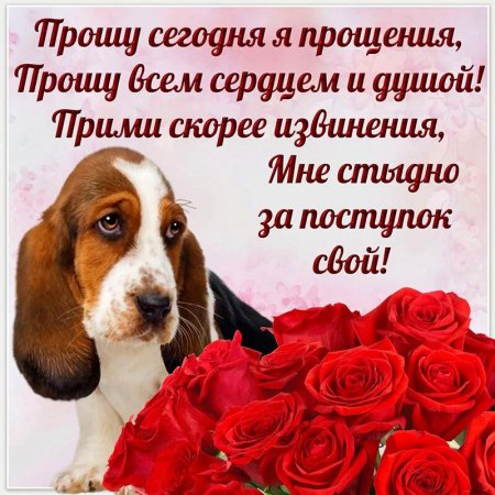 Открытка "прости"