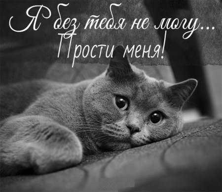 Прости меня