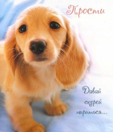 Прости меня