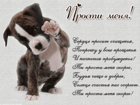 Открытка прости меня