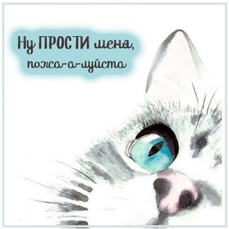 Открытка "прости"