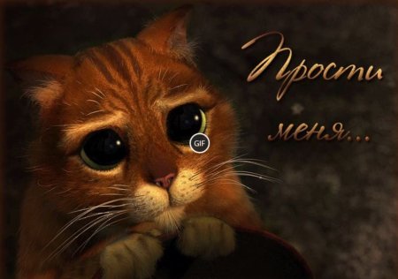 Прости меня