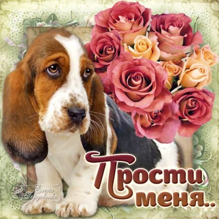 Открытка "прости"