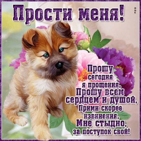 Открытка с извинениями девушке