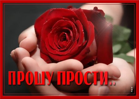 Открытка прости меня