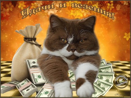 Открытка "удачи!"