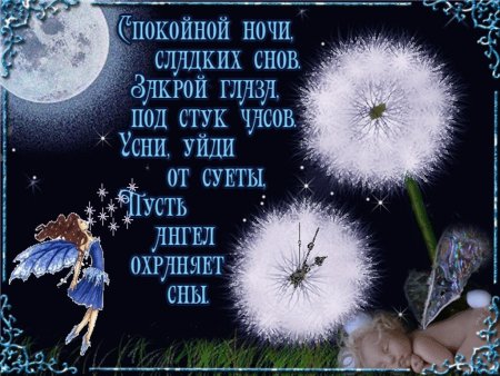 Спокойной ночи сладких снов стихи