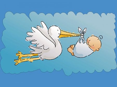 У нас пополнение в семье