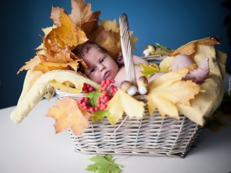 С прибавлением в семье поздравление