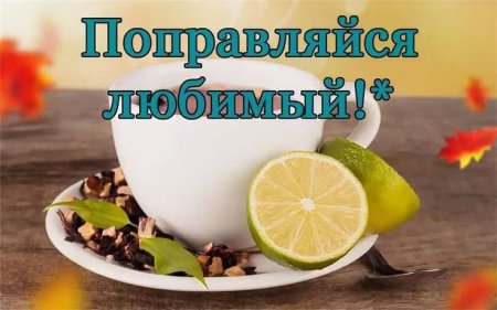 Любимый не болей выздоравливай