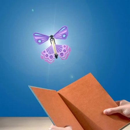 Creative Butterfly