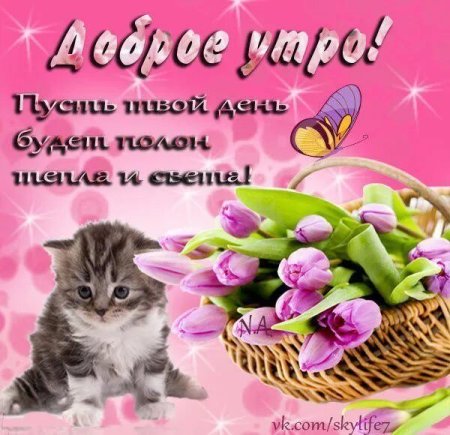 Открытки с добрым утром Светуля
