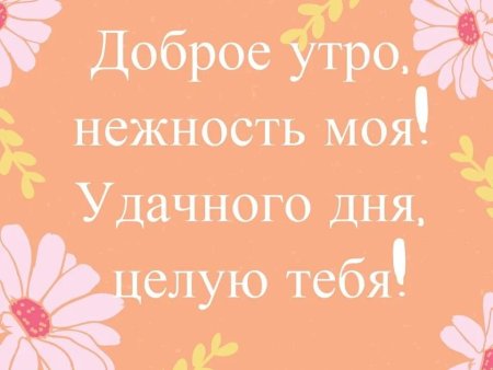 С добрым утром радость моя