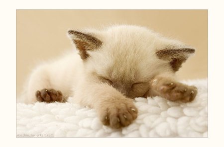 Открытки спокойной ночи