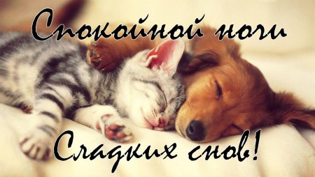Открытки спокойной ночи красивые