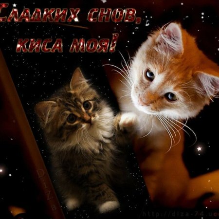 Сладких снов анимация