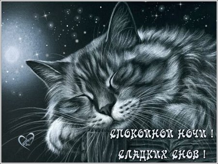 Нежной ночи сладких снов