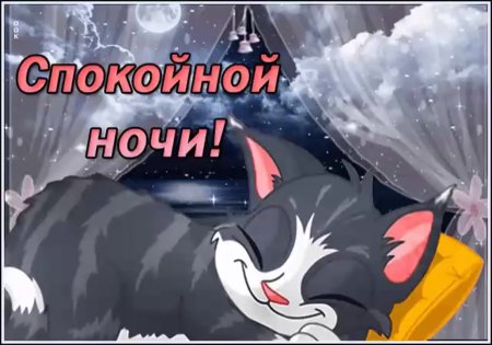 Спокойной ночи Ласточка